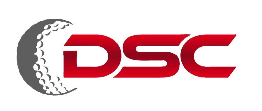 DSC 로고